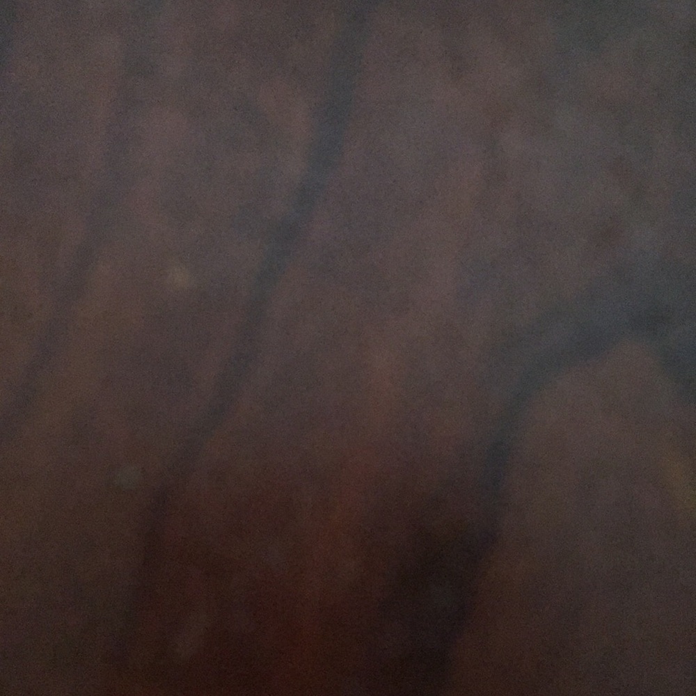 Meet your Posher, Florence (flora)